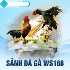 Đá Gà Trực Tuyến FB88